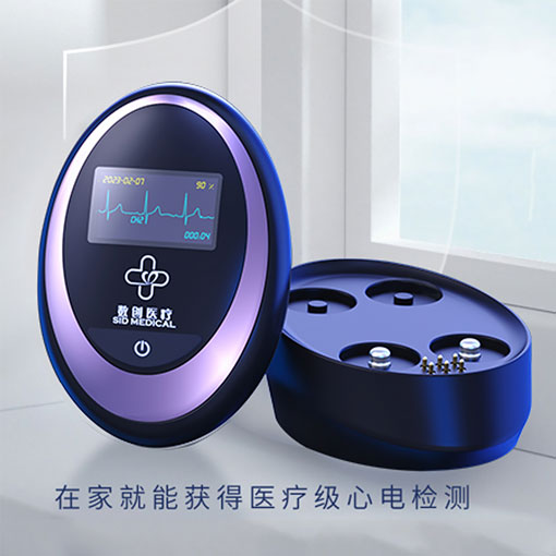Portable Holter ECG recorder