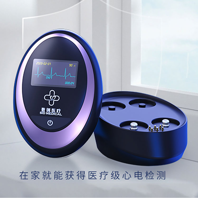 Portable Holter ECG recorder